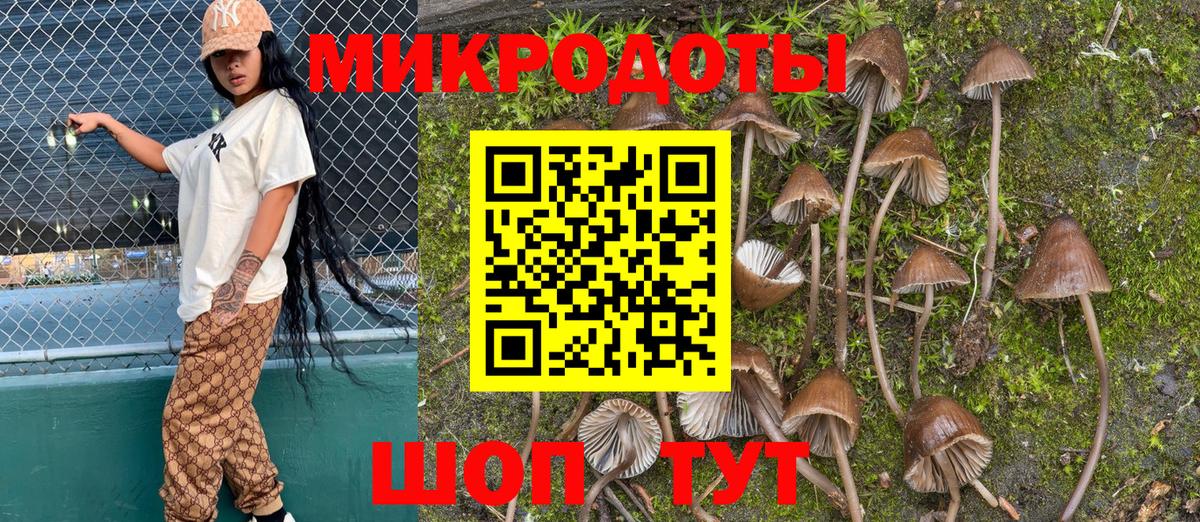 Галлюциногенные грибы MAGIC MUSHROOMS Сертолово