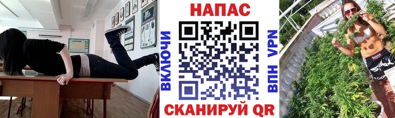 Конопля OG Kush Сертолово